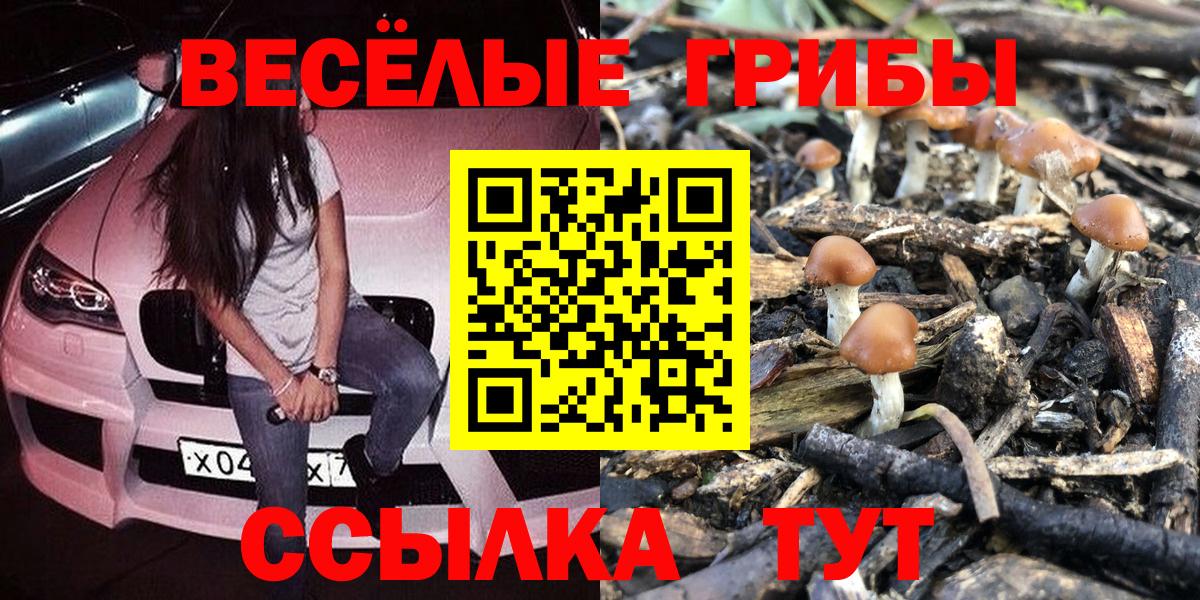 Псилоцибиновые грибы Psilocybine cubensis  Галлюциногенные грибы Psilocybe  Вход с VPN  Новотроицк 